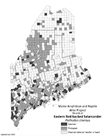 Eastern Red-backed Salamander distribution map (PDF)